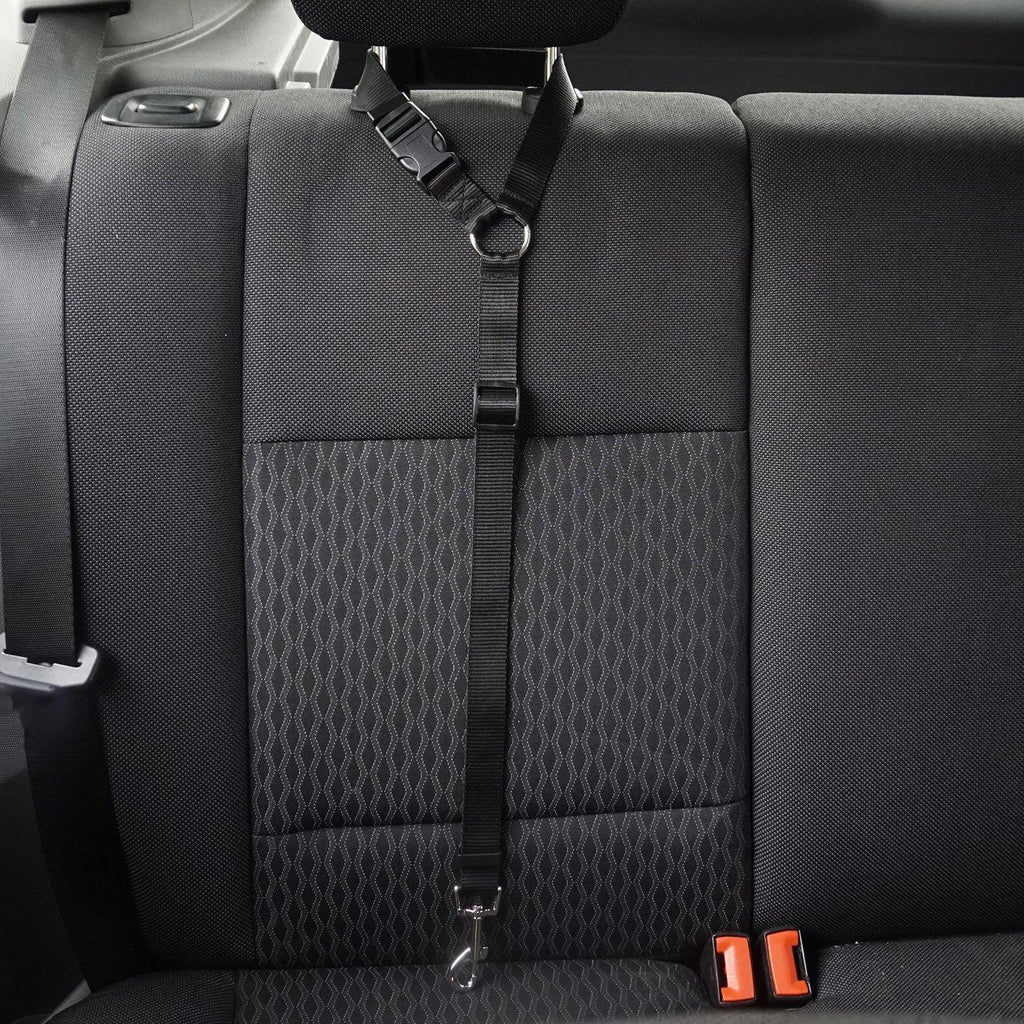 Secureflex Pet Safety Leash