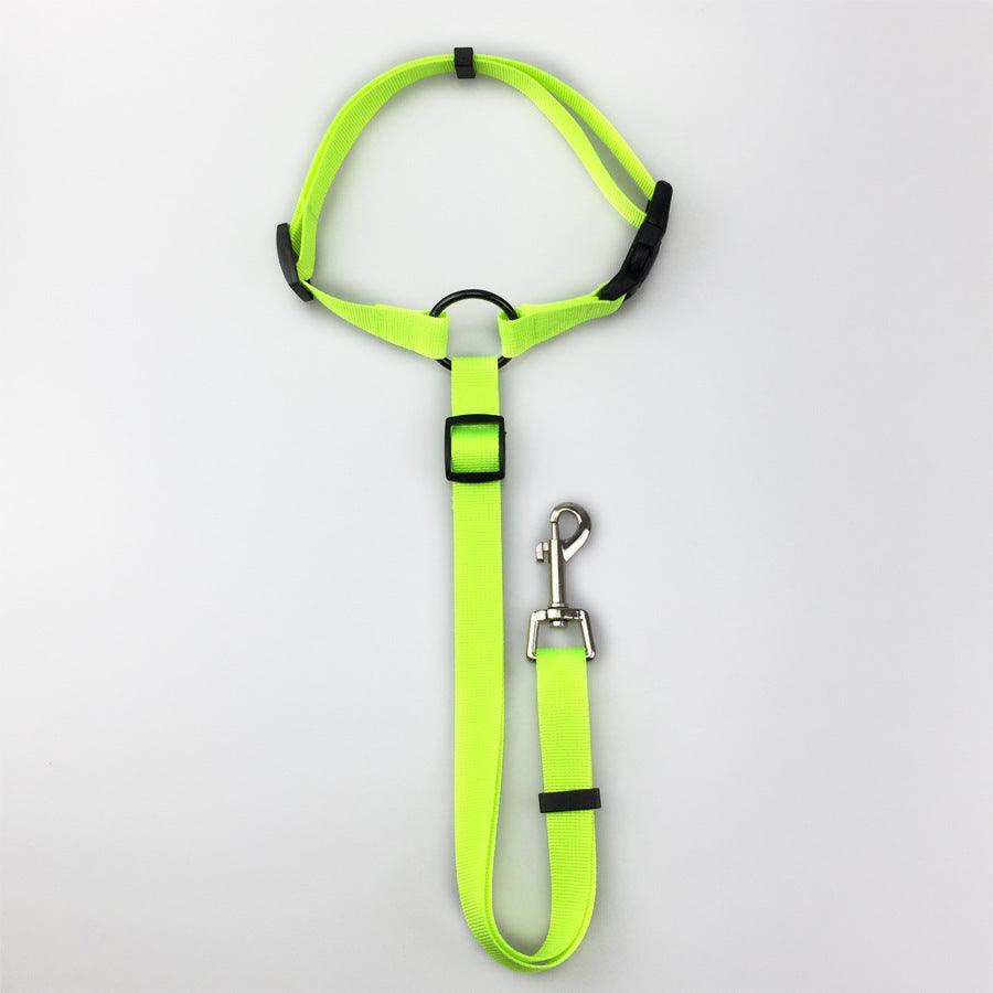 Secureflex Pet Safety Leash