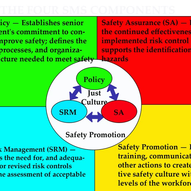 SMS Principles Training