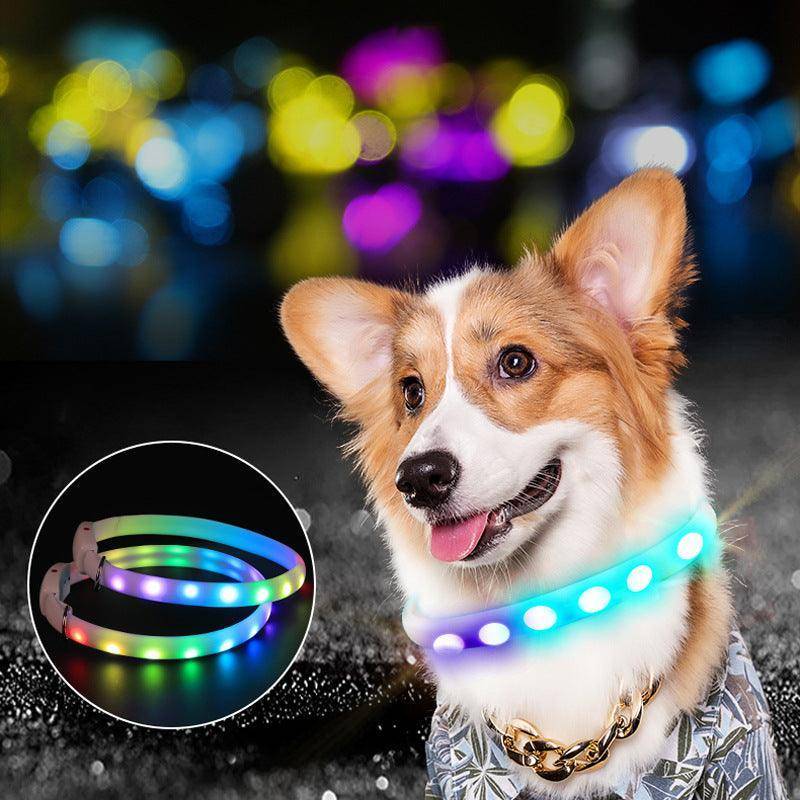 Glowing Guardian - Usb Rechargeable Led Pet Safety Collar